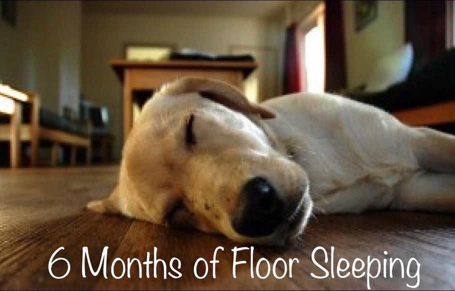 6 Months of Sleeping on the Floor